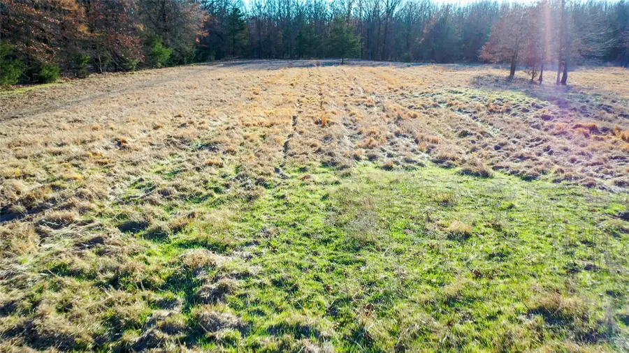 1200 County Road 1255, Detroit, TX 75436 - #2