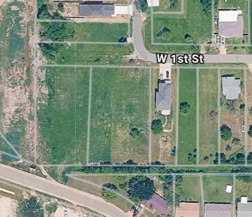 726 W 1st Street, Ellis, TX 75125 - #3