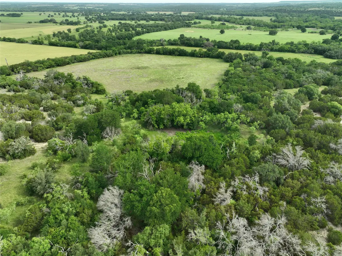 TBD Fm 2905, Hamilton, TX 76531 - #1