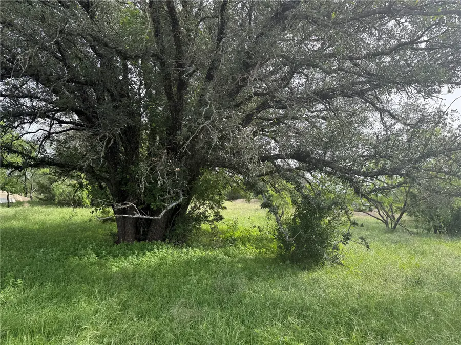 TBD Fm 2905, Hamilton, TX 76531 - #3