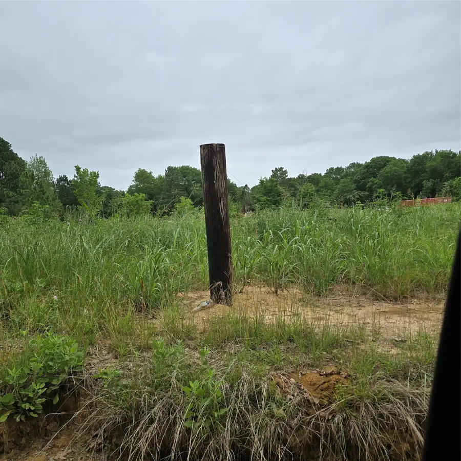 7360 County Road 2832, Mabank, TX 75156 - #2