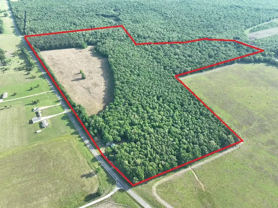 7453 Farm Road 412, Clarksville, TX 75426 - #1