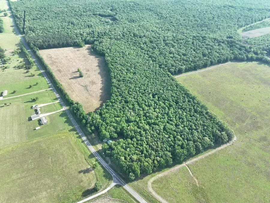 7453 Farm Road 412, Clarksville, TX 75426 - #3