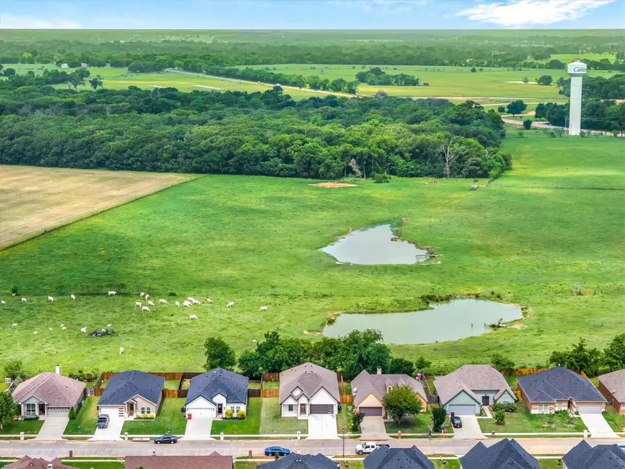 1868 Meadowview, Canton, TX 75103 - #3
