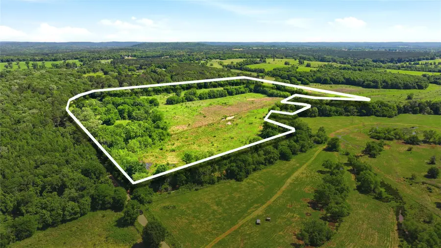 4091 County Road 2206, Rusk, TX 75785 - #2