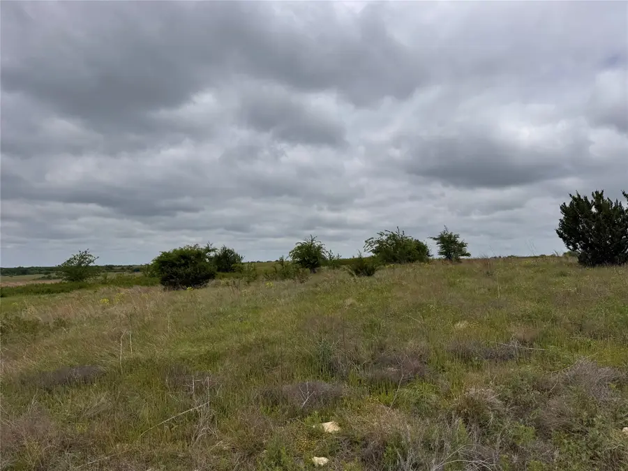 2908 Mattie Ross Road, Cresson, TX 76035 - #2