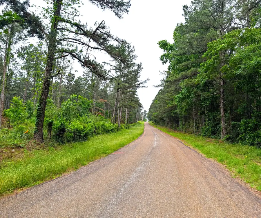 1931 County Road 4101, Jacksonville, TX 75766 - #2