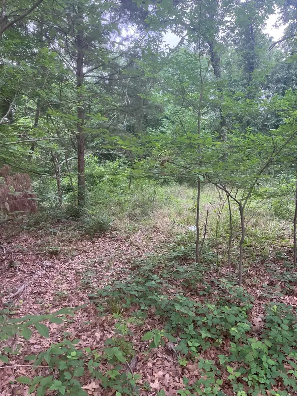 106 Red Bluff Loop, Mabank, TX 75156