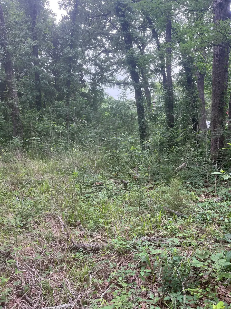 106 Red Bluff Loop, Mabank, TX 75156 - #3