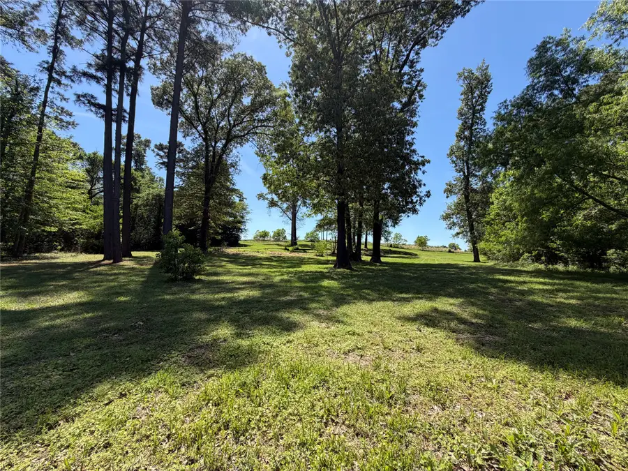 0000 County Road 3202, Chandler, TX 75758 - #2