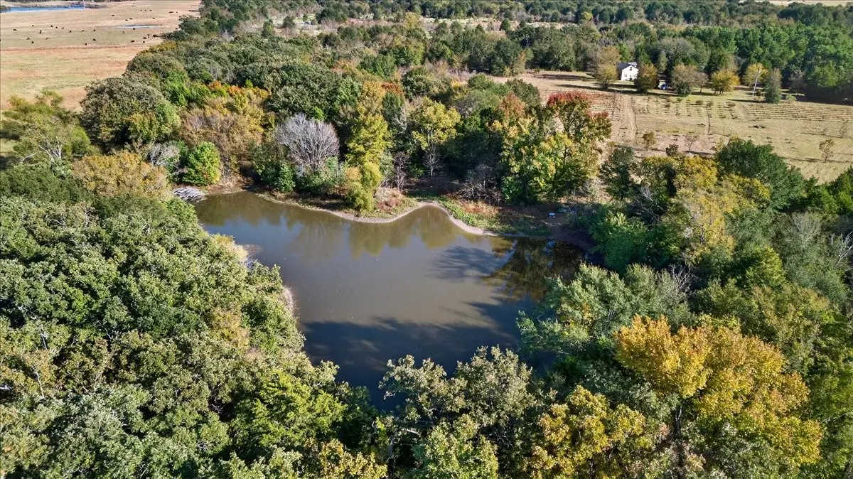 1603 Vz Cr 2908, Eustace, TX 75124 - #1