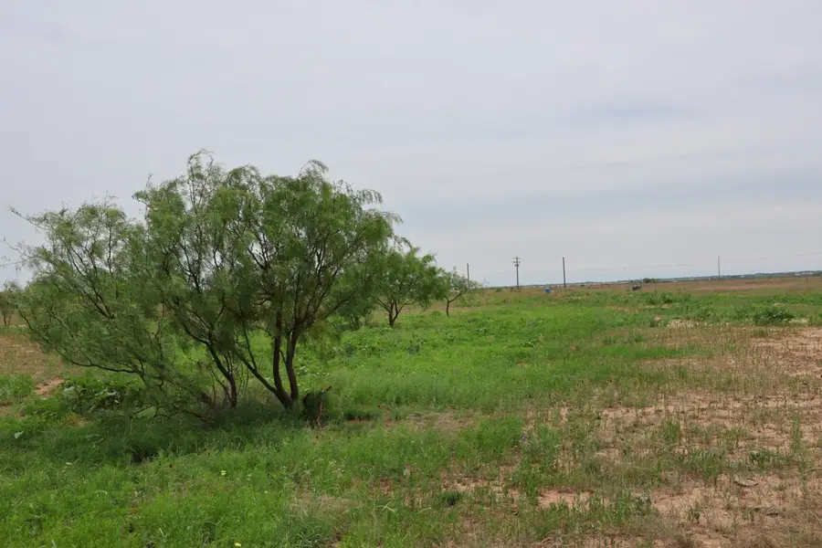 13558 County Road 440, Merkel, TX 79536 - #3