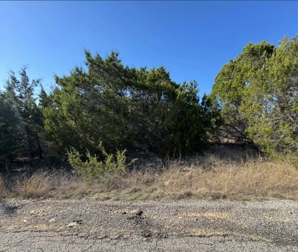 4711 Evening View Drive, Granbury, TX 76048 - #1