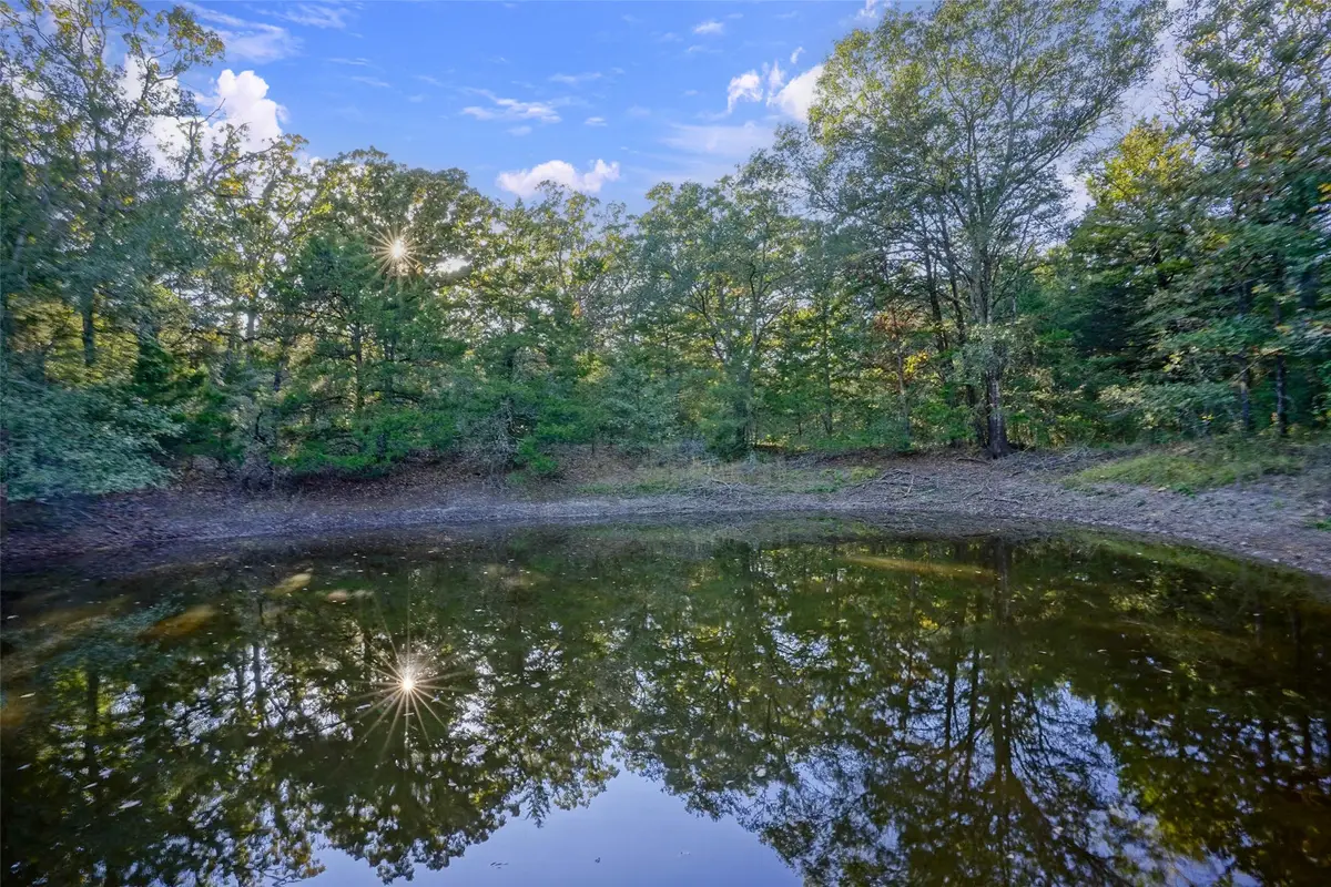 45 Acres County Road 930, Teague, TX 75860 - #1