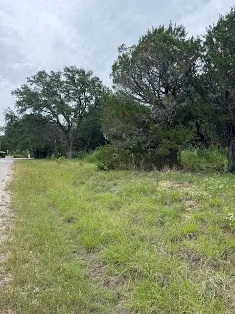 4003 Tahoe Court, Granbury, TX 76048 - #3