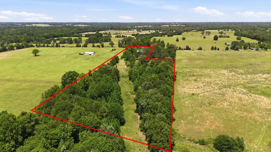 368 County Road 4960, Quitman, TX 75783 - #3