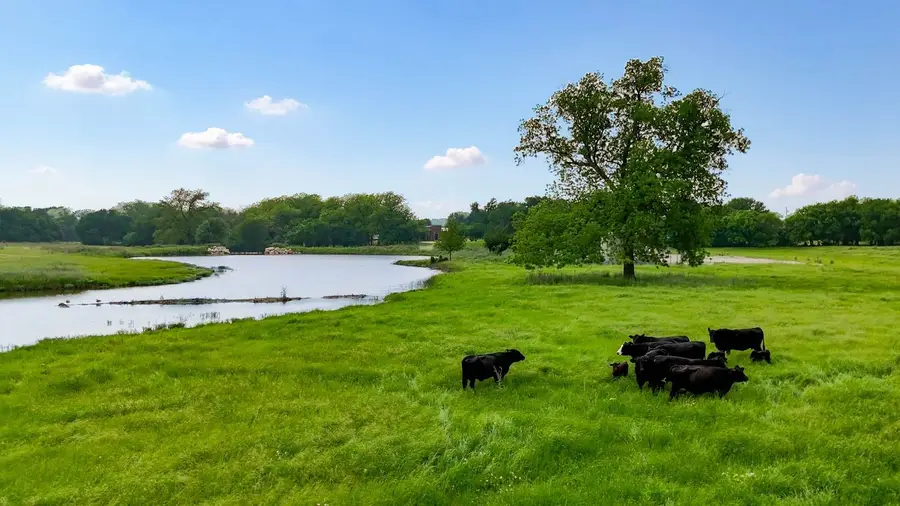 1300 Strader Road, Northlake, TX 76247 - #3