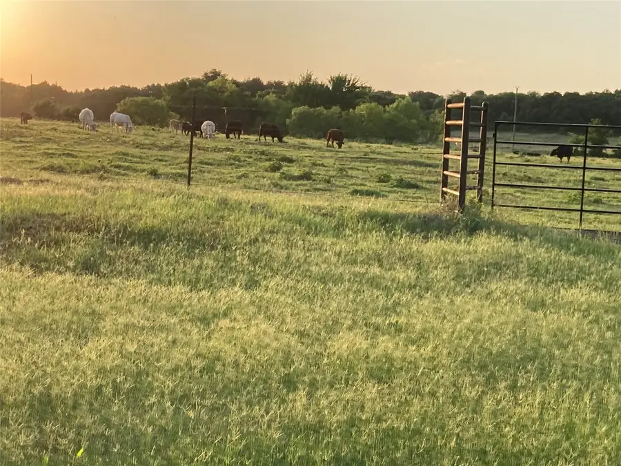 PR 114 Pr 114, Covington, TX 76636 - #2