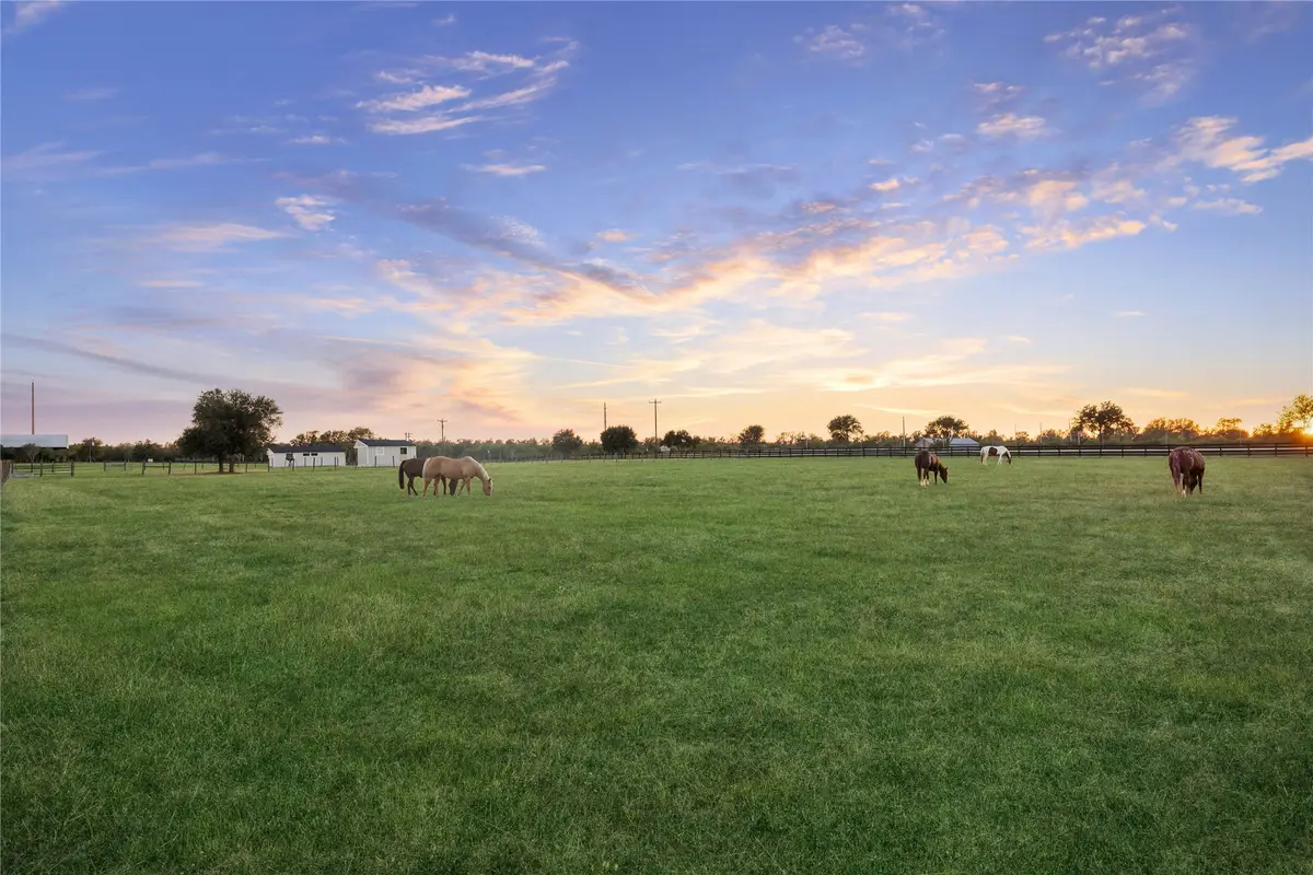 40570 Wild Life Run, Hempstead, TX 77445 - #1