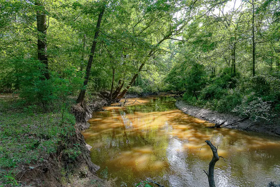 00 Off Of Farm To Market Road 2064, Troup, TX 75789 - #2