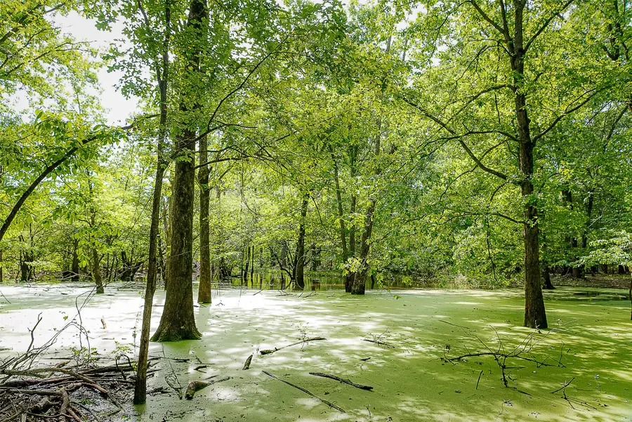 00 Off Of Farm To Market Road 2064, Troup, TX 75789 - #3