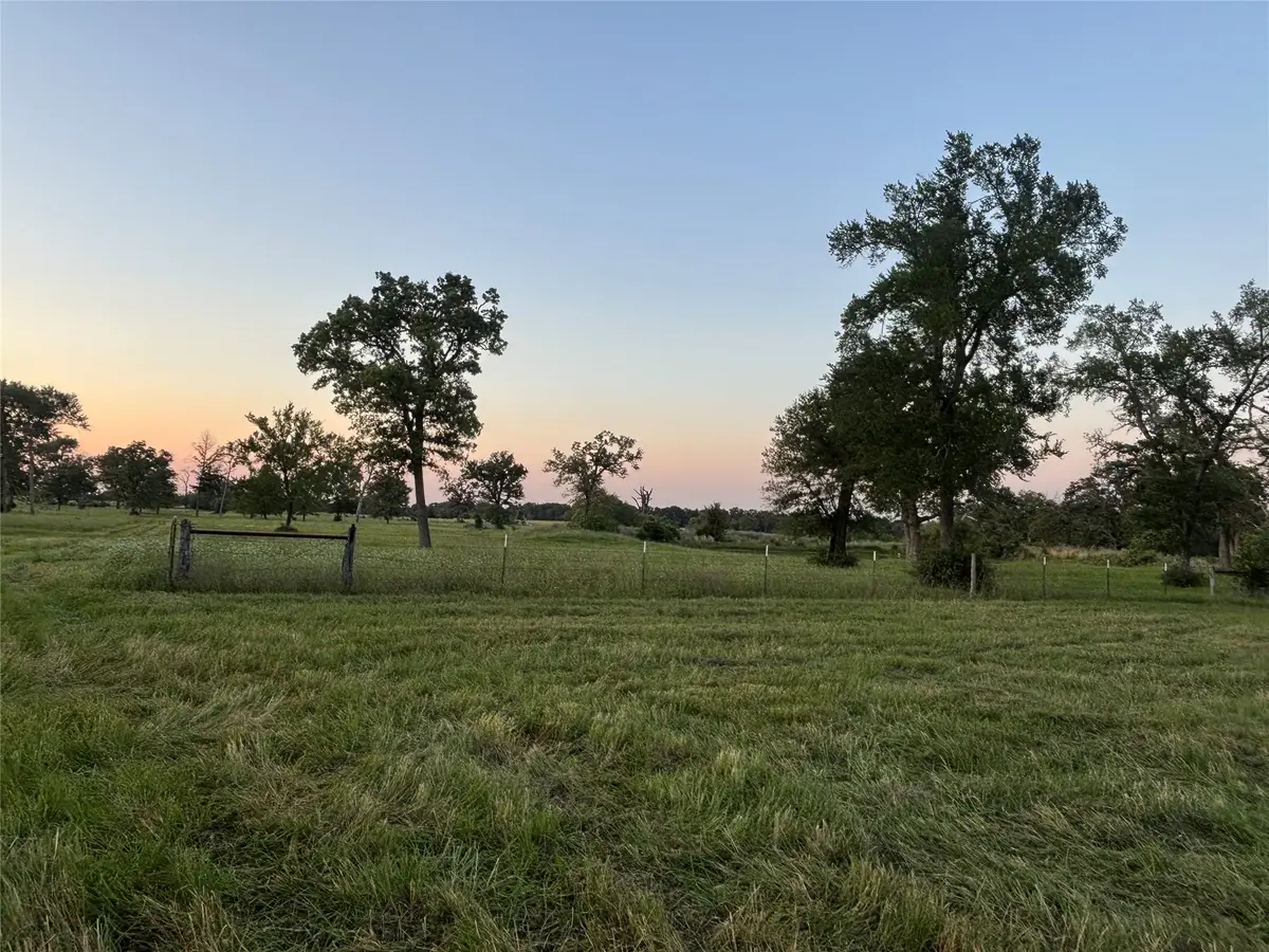 296 Lcr 806, Groesbeck, TX 76642 - #1