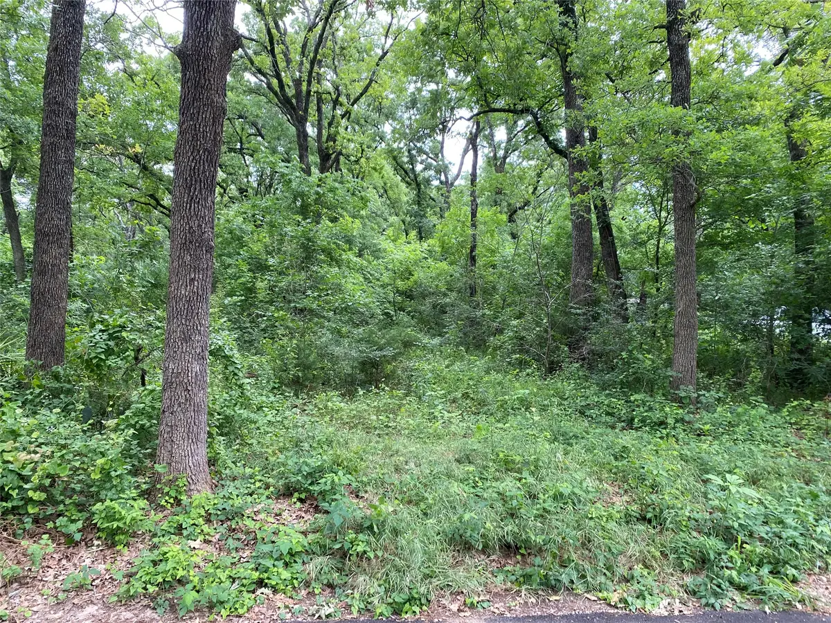TBD NW County Road 3323, Frost, TX 76641 - #1