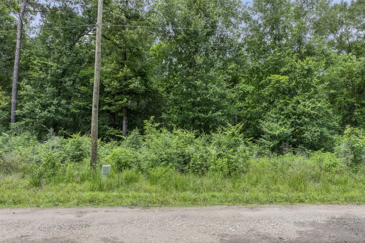 19116 Surrey, New Caney, TX 77357 - #1