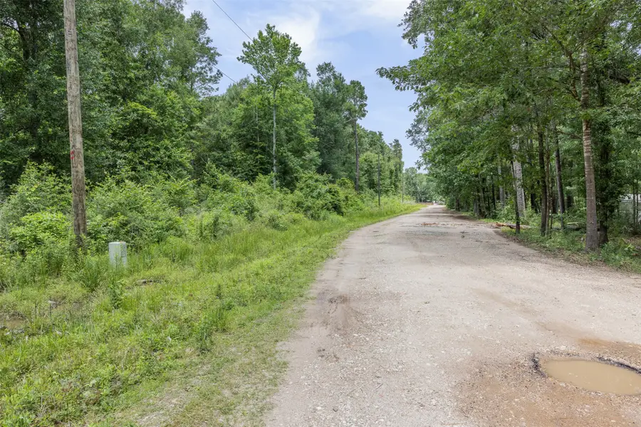 19116 Surrey, New Caney, TX 77357 - #2