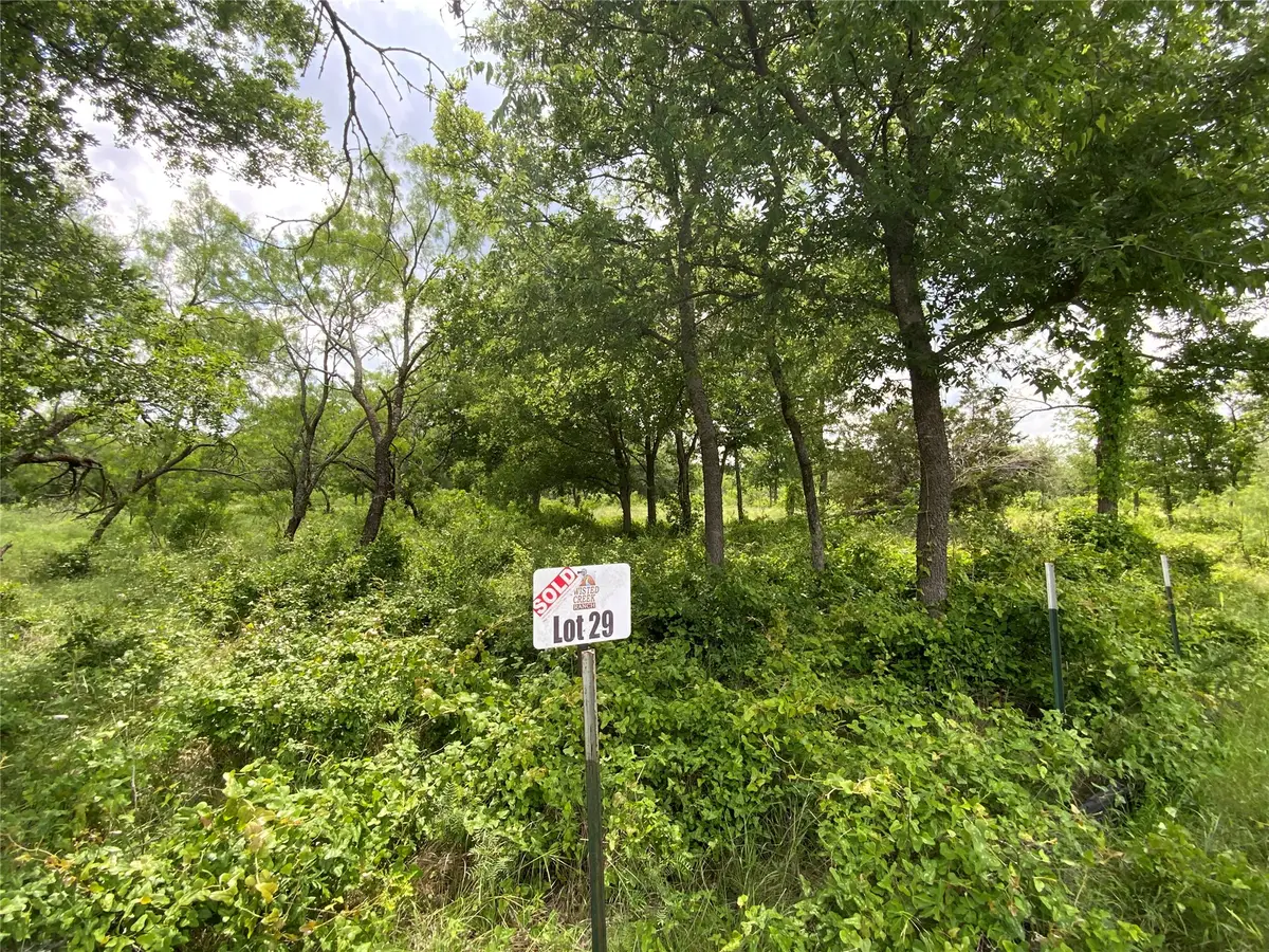 Lot 29 Twisted Creek Drive, Gustine, TX 76455 - #1