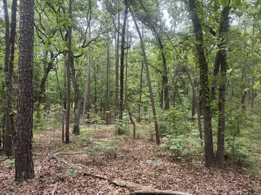000 Cr 34980, Powderly, TX 75473 - #2