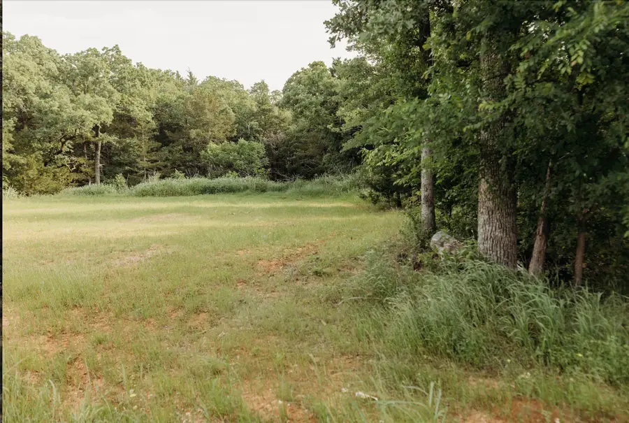 137 Yucatan Village Court, Gordonville, TX 76245 - #2