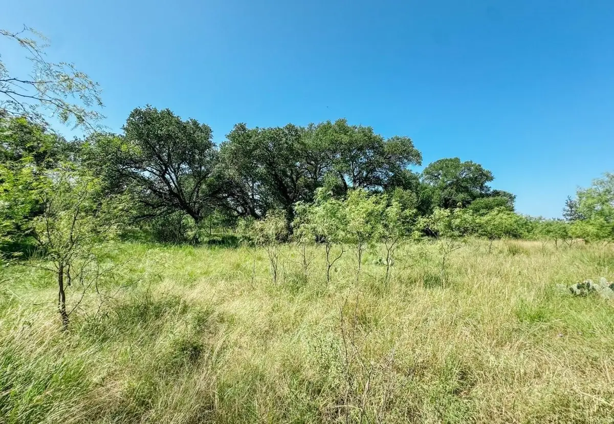 Lot 6 Morris Sheppard Drive, Brownwood, TX 76801 - #1