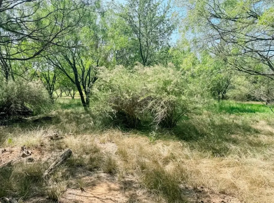 Lot 11 Morris Sheppard Drive, Brownwood, TX 76801 - #3