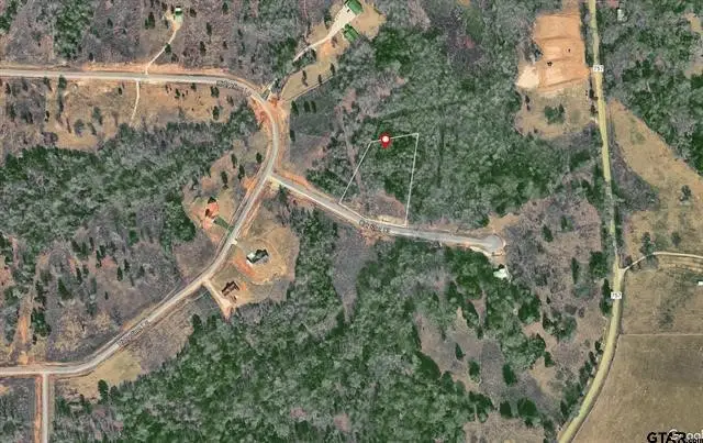 Lot 34 Creek Bottom Court, Winona, TX 75792 - #3
