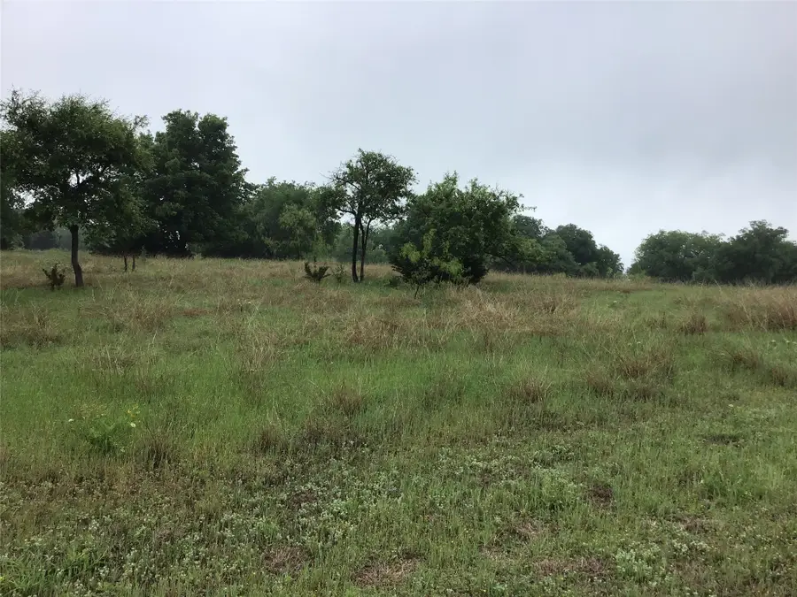 42122 Crooked Stick Drive, Whitney, TX 76692 - #3