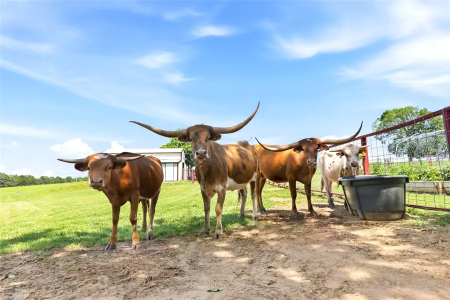 235 Magnus Road, Denison, TX 75021 - #3