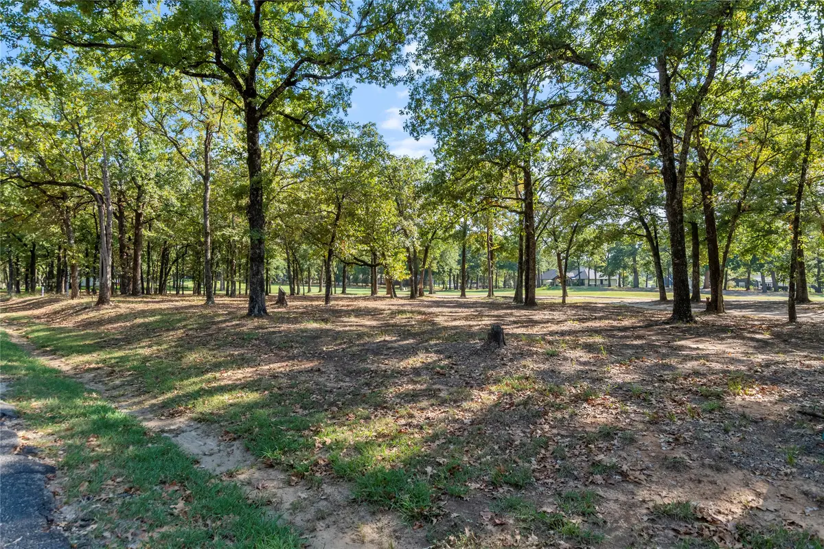 221 Colonial Drive, Mabank, TX 75156 - #1