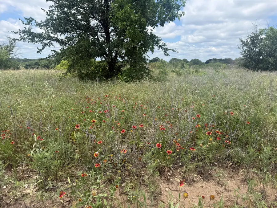 10131 Horizon View, Tolar, TX 76476 - #3