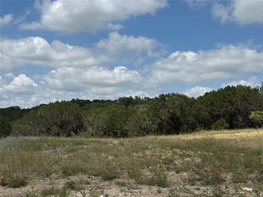 10151 Horizon View, Tolar, TX 76476 - #3