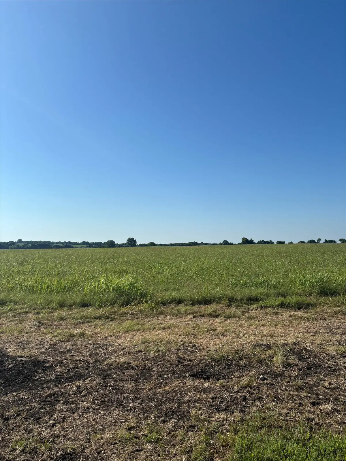 TBD Boz Road #5, Waxahachie, TX 75167 - #1