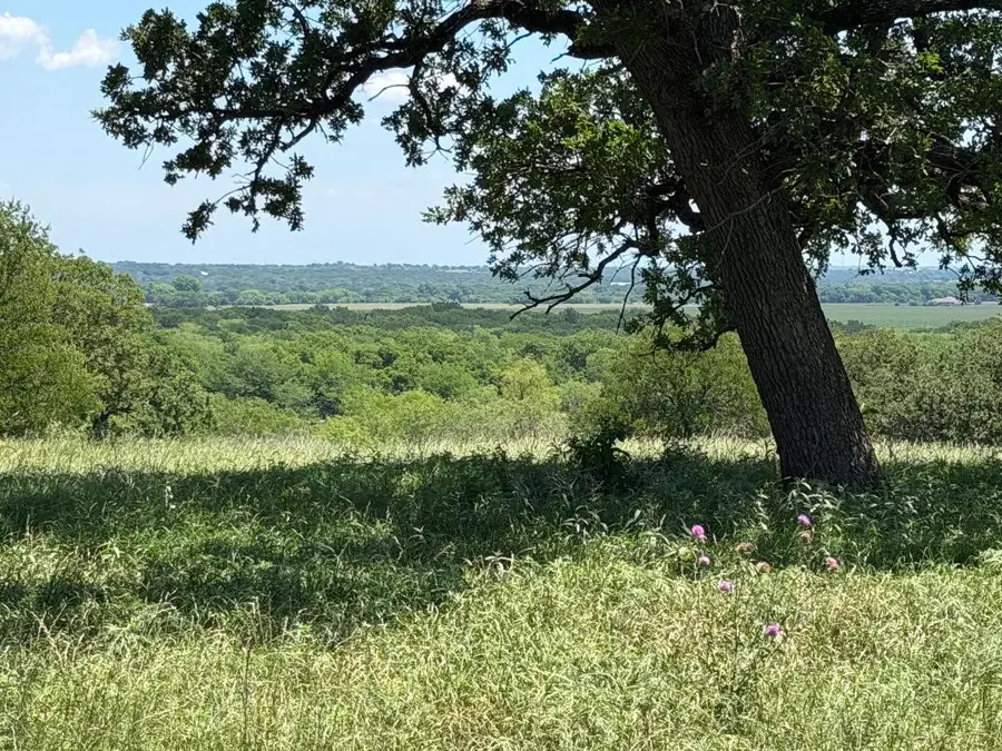 2041 Fm933, Aquilla, TX 76622 - #2