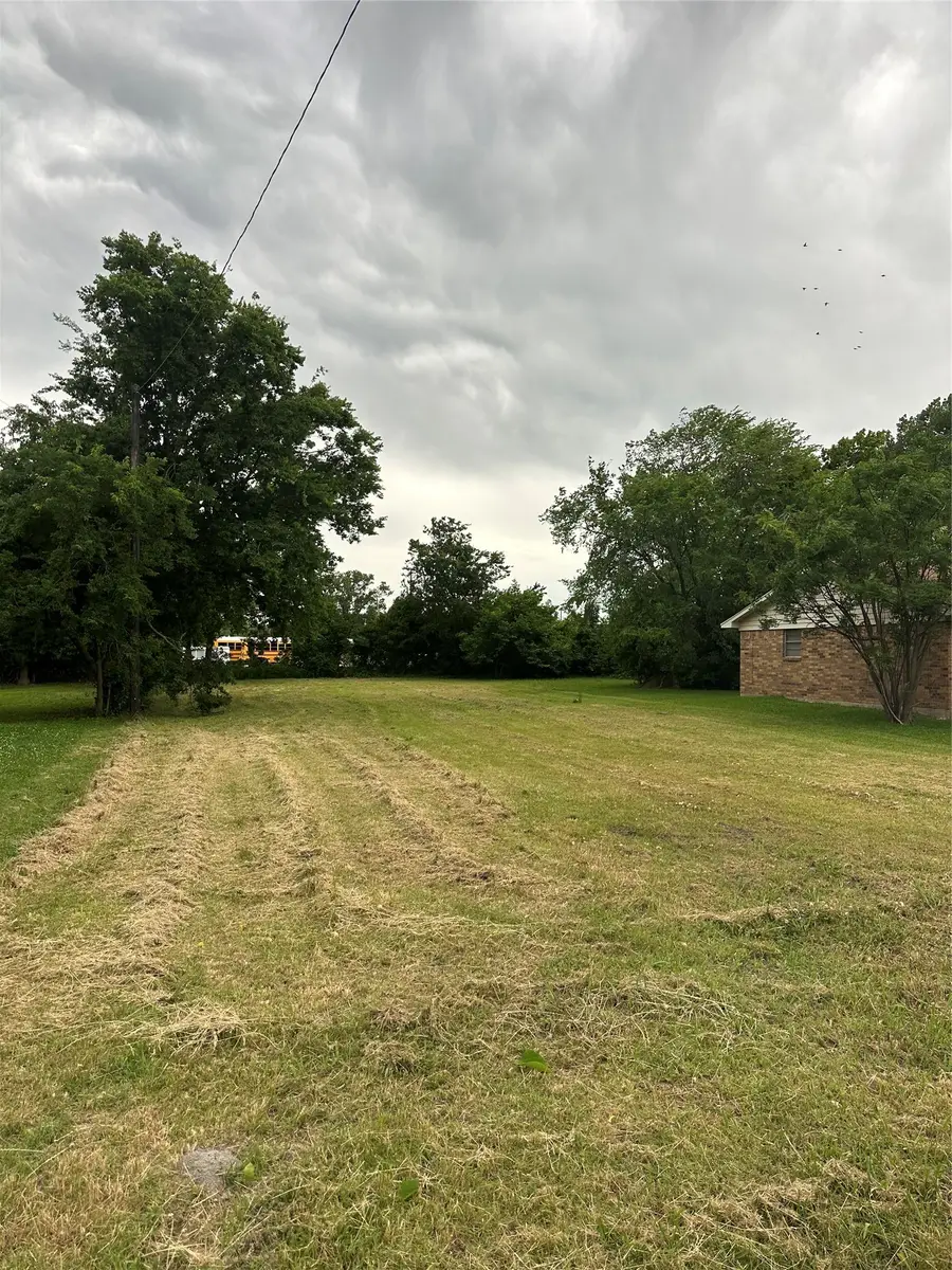 316 E Davis Street, Howe, TX 75459 - #2