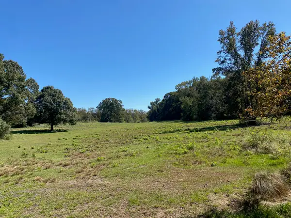 TBD 007 County Road 242, Oakwood, TX 75855