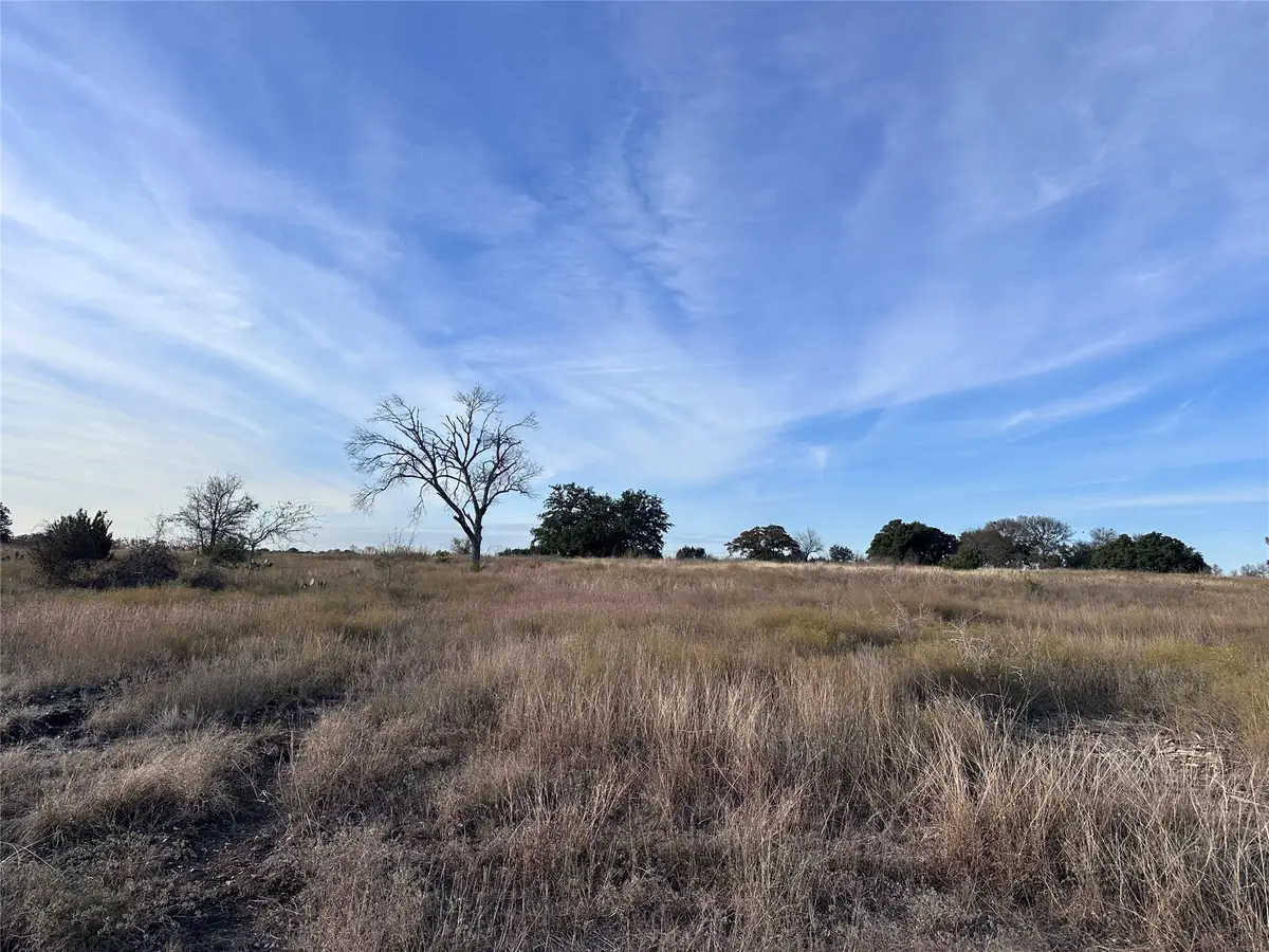 245 Grand Canyon Drive, Oglesby, TX 76561 - #1