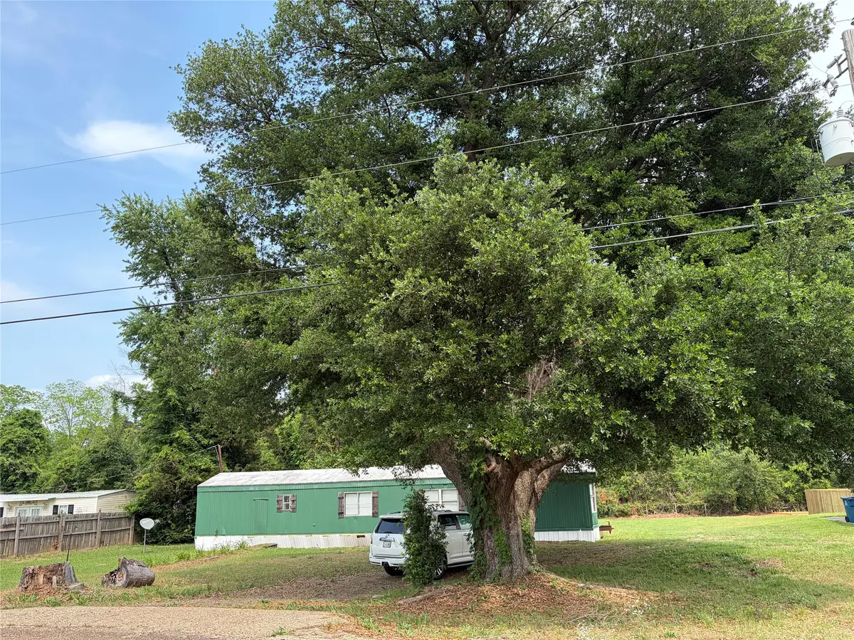 410 Patrick Street, Minden, LA 71055 - #1