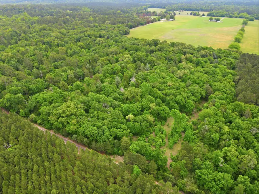 000 Private Rd 7832, Hawkins, TX 75765 - #2