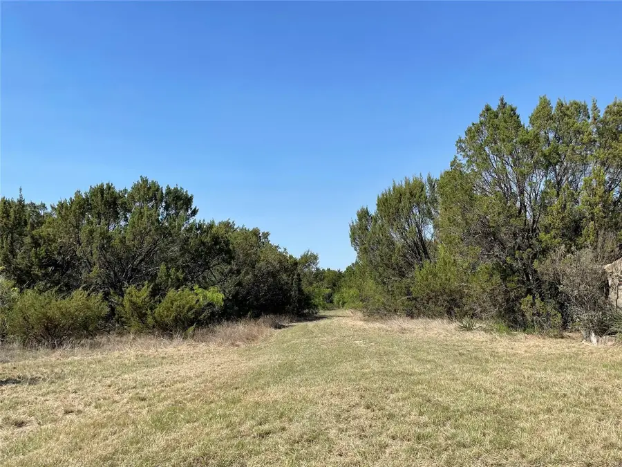 1115 Beacon Lake Drive, Bluff Dale, TX 76433 - #3