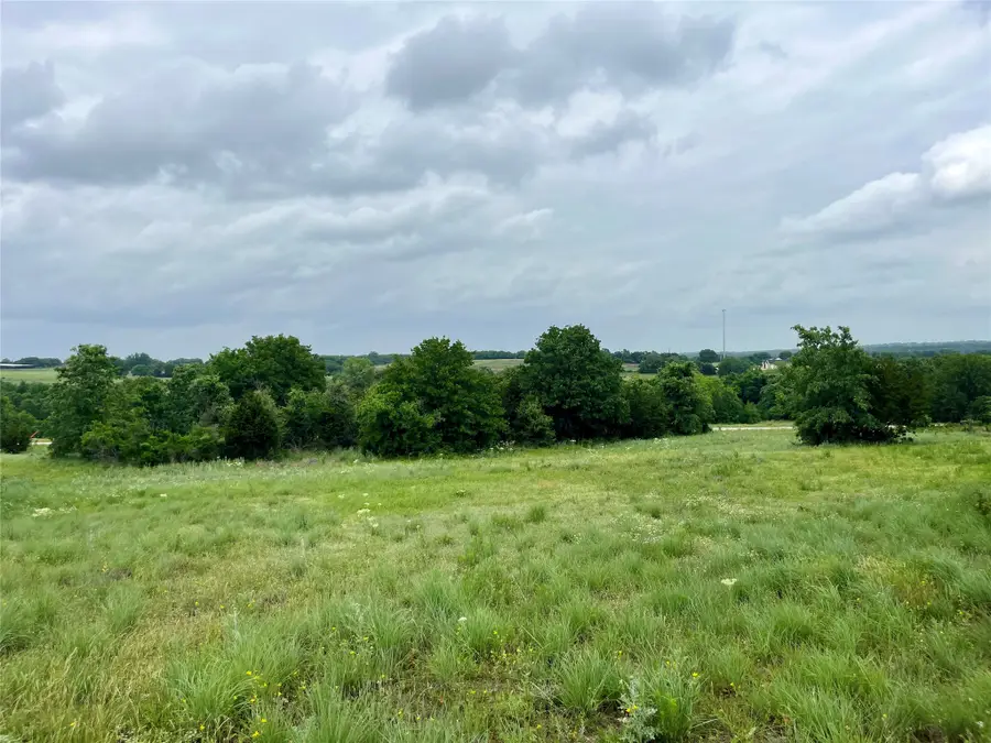 Lot 13 Arlow Rd, Poolville, TX 76487 - #2