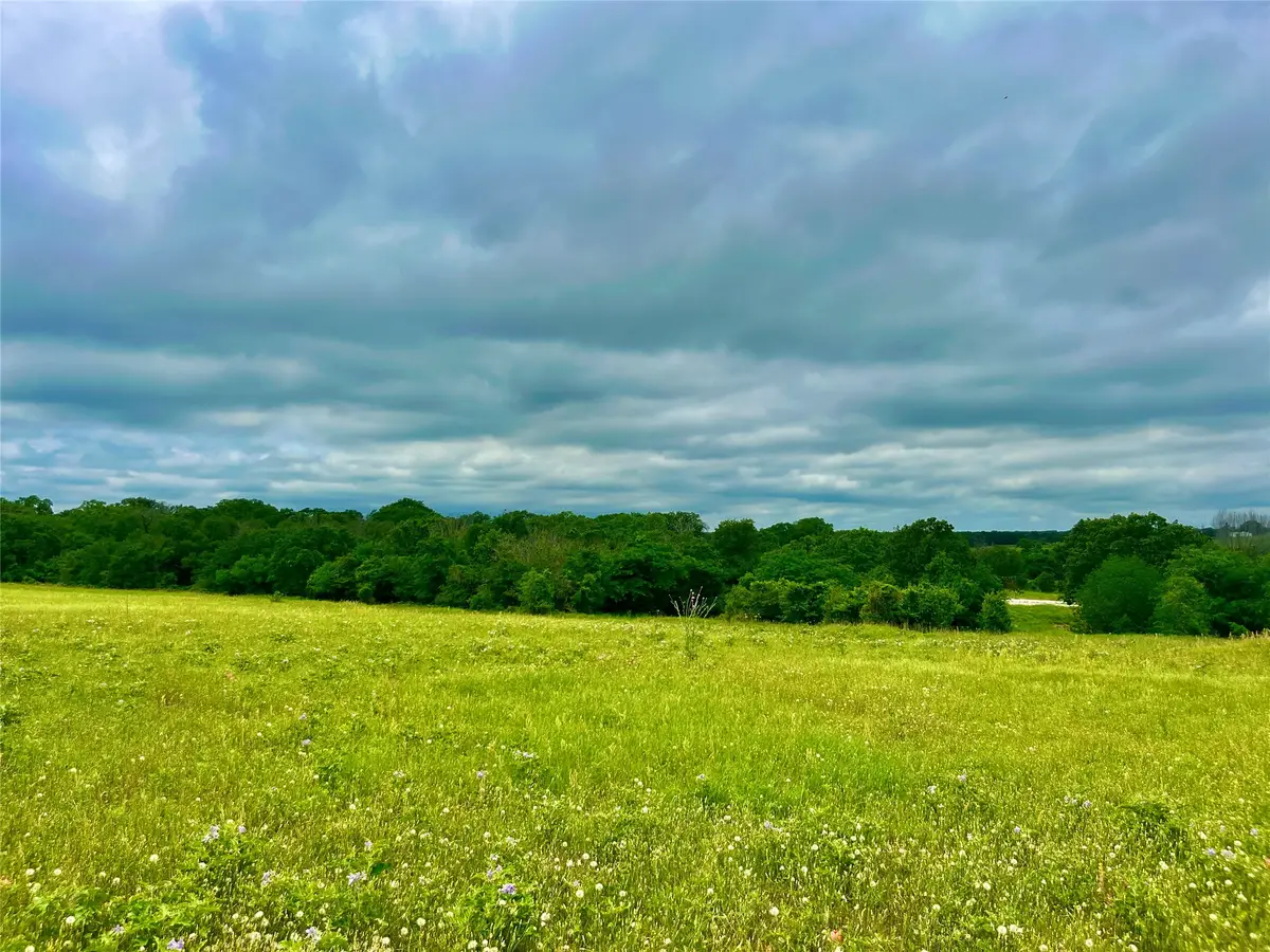 Lot 10 Clare Rd, Poolville, TX 76487 - #1
